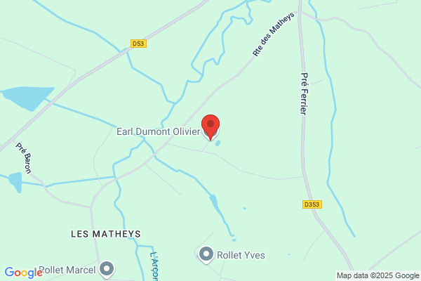 Dumon Freres Earl