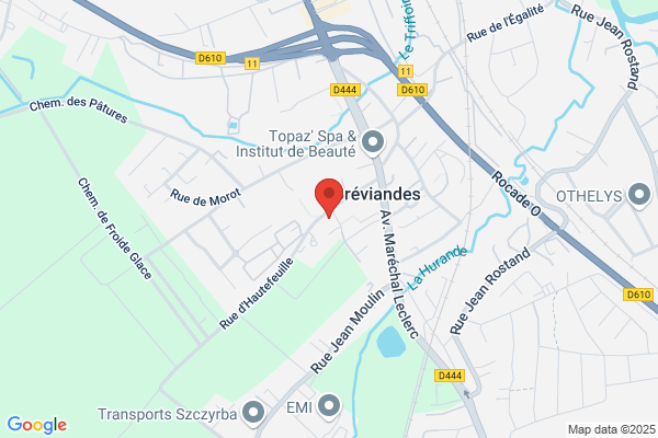 Comite Des Fetes
