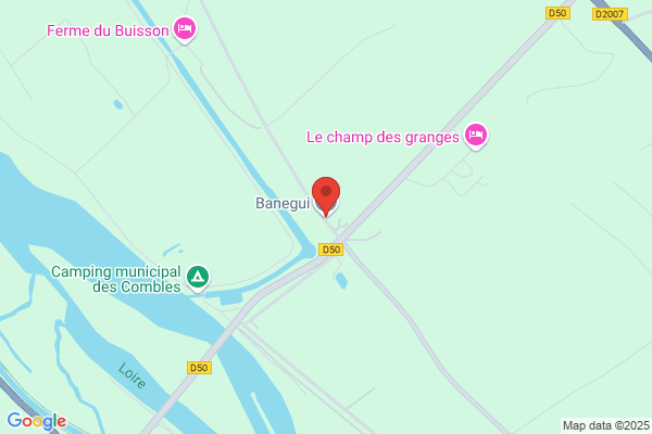 GIBAUTO