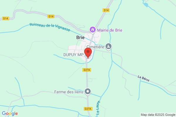 Dupuy MP
