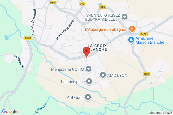 Corelis