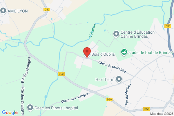 Dubus F