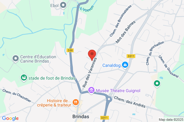 Garage De Brindas A Merle Et P vial
