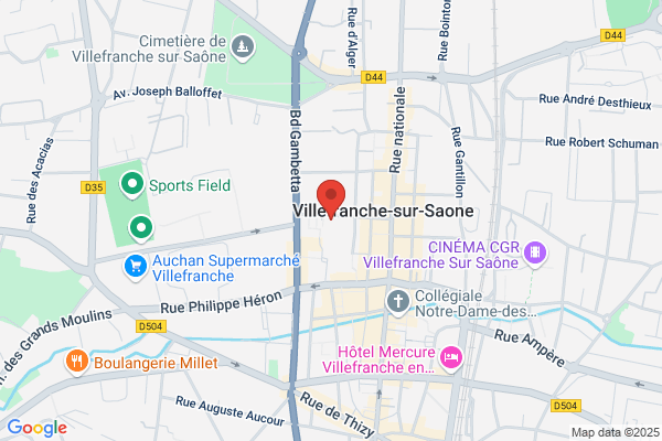 Inspection De L Education Nationale Ien Villeurbanne sud