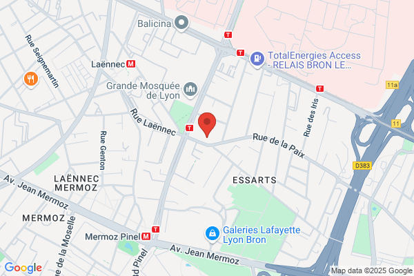 B Et D Goupil