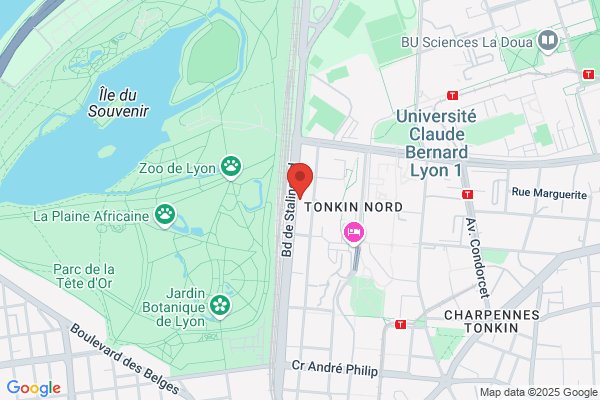 STATION BP VILLEURBANNE TONKIN