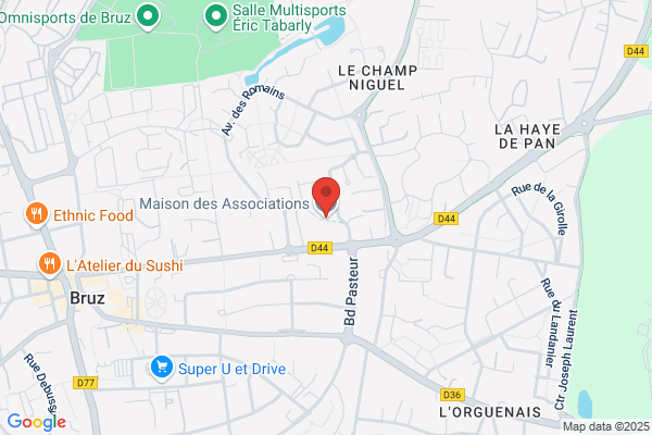 Association Saint Francois D Assise