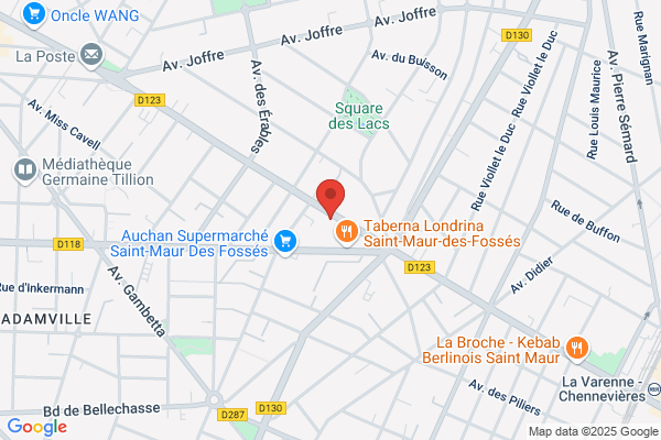 VEODIS SECURITE