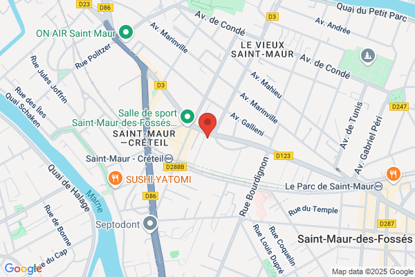 LES TOITS PARISIENS