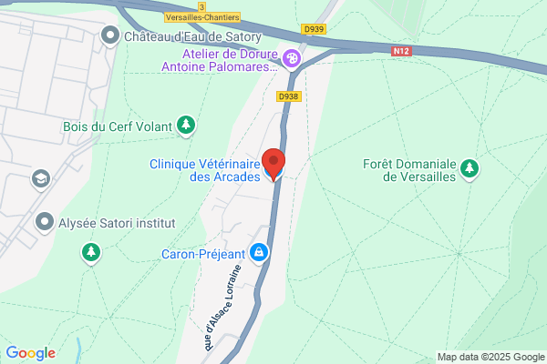 clinique vétérinaire des arcades