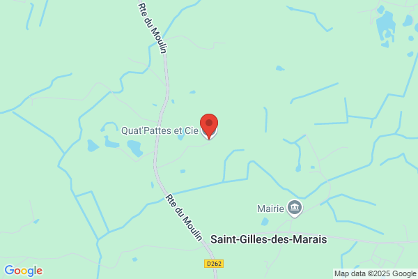 quat'pat services