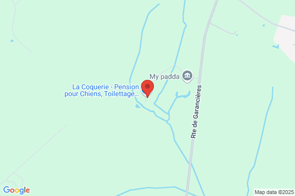 Amis Croquette