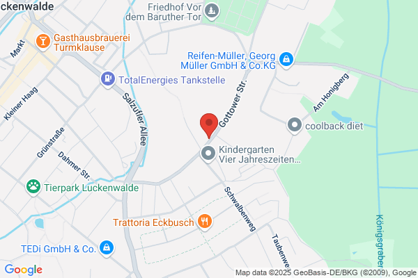 Assis Trans Services