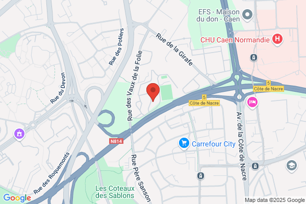Institut Camille Blaisot Acsea Atelier Therapeutique