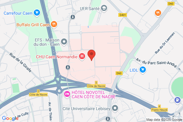 Chu Service Des Urgences Adultes