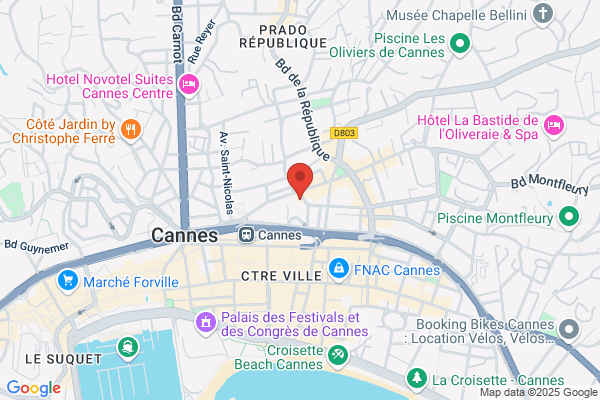 Association Paralyses De France