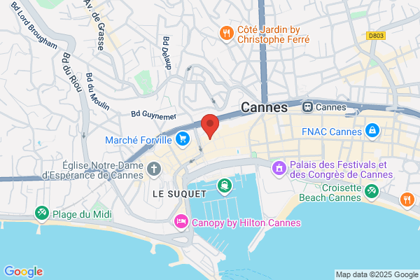 Nicolas Cannes Meynadier