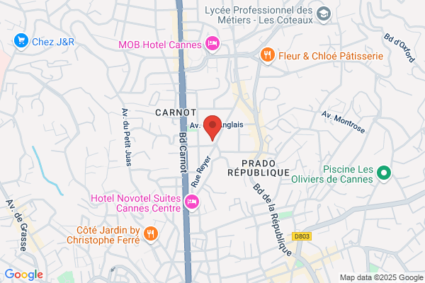 Groupe D Intervention Privees Securite