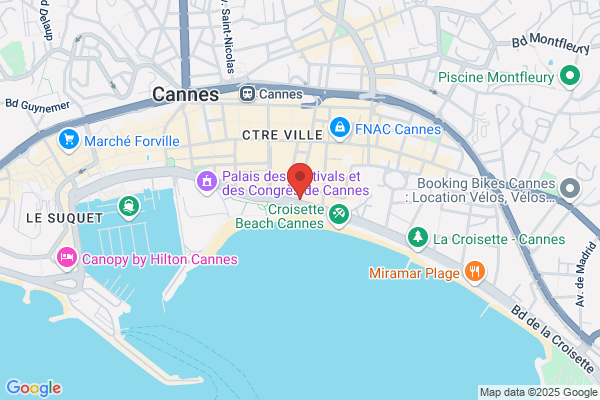 Louis Vuitton Cannes