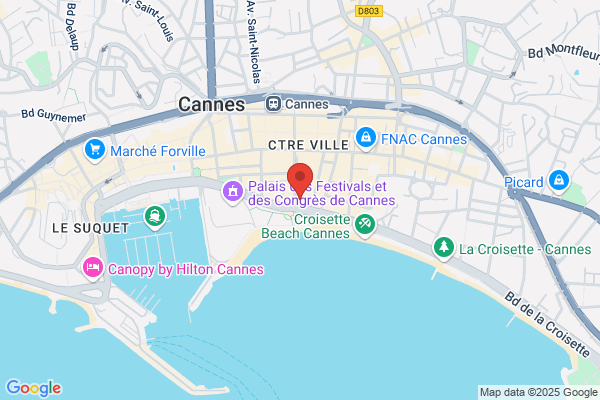 Cannes Driving Services