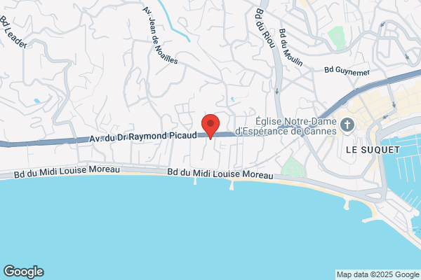 Cannes Jeunesse Maison De L Enfance Picaud