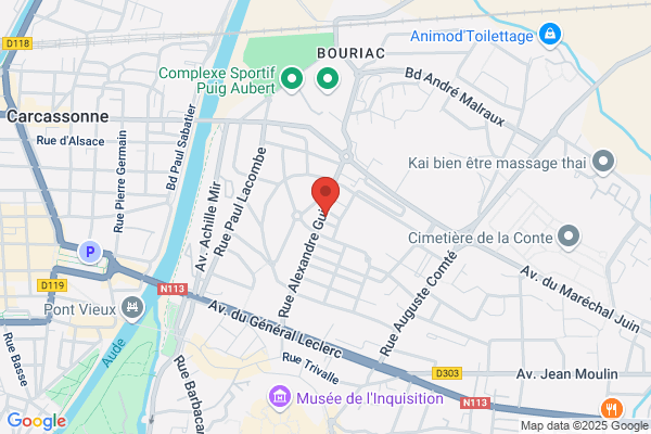Association Pour L Insertion Sociale Et Professionnelle a car