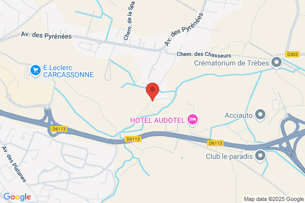 Gout Thierry
