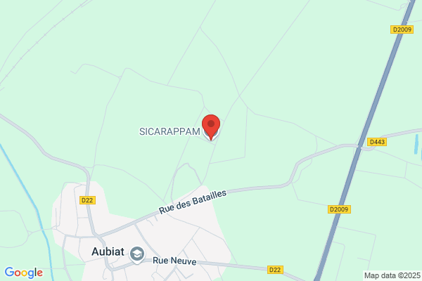 Agriculture Sicarappam Plantes Medicinales