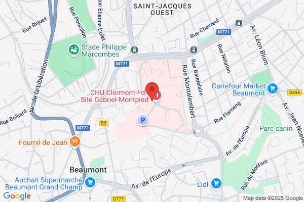 Dauphin Sa