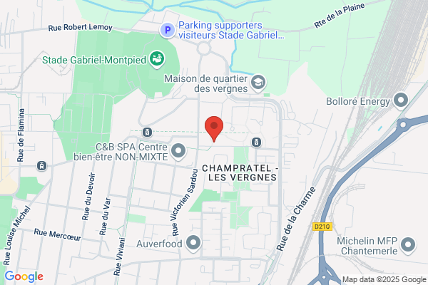 Comite De Quartier La Plaine Les Vergnes