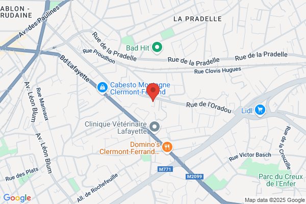 Comite Entreprise