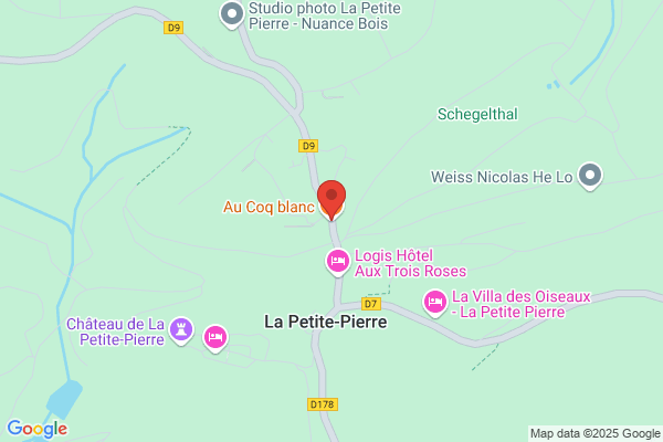 Au Coq En Pizz