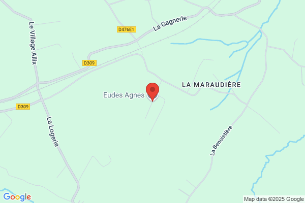 De Larouziere Agnes