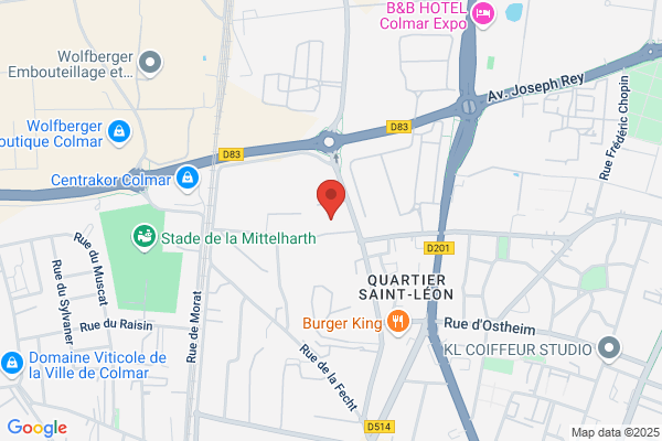 Car Go Carrosserie Weber Franchise Independant