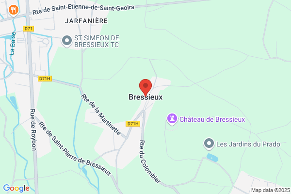 Bressieux Michel