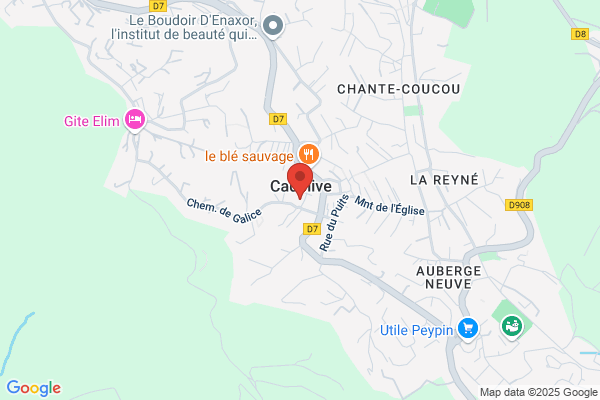 Alessandri Pierre Xavier Dentiste