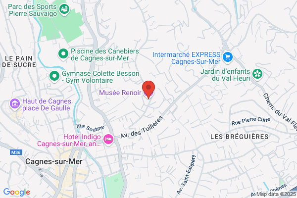 Cosmos