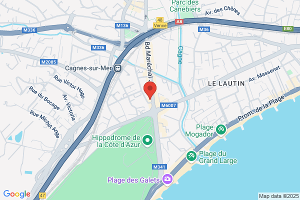 Romuald Magnétiseur Energéticien