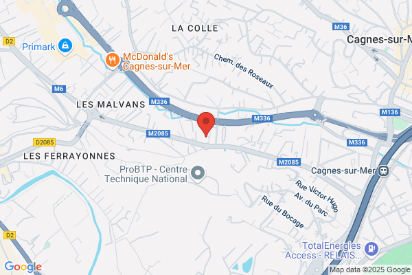 Bounin Pierre Andre Medecin