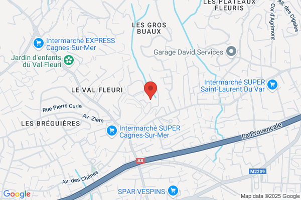Azur Menager Services