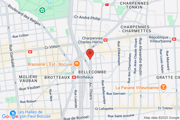 Interim Lyonnais Sarl