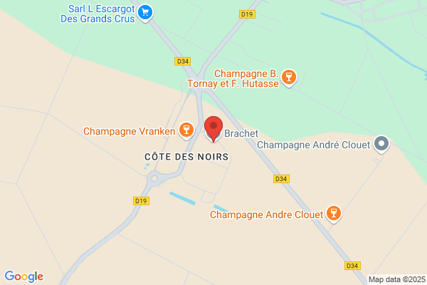 Brachet Yves