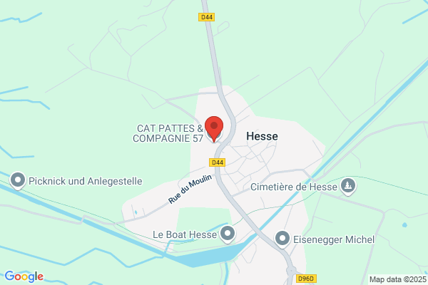 Cat Pattes