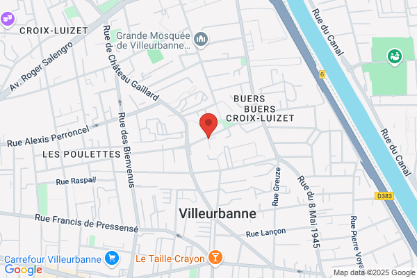 Commune De Villeurbanne Atelier Salubrite