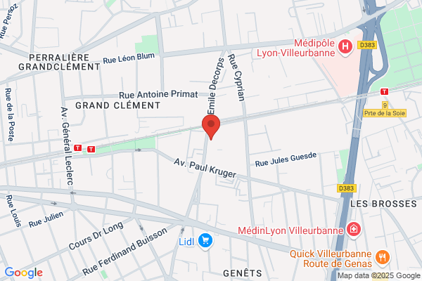 LES MENUS SERVICES VILLEURBANNE