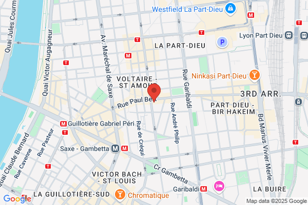 Conseil Social Guillotiere Part Dieu Antenne Jeunes