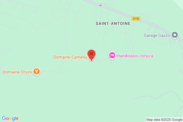 DOMAINE CAMELLU