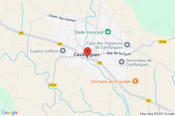 Cafe Du Commerce
