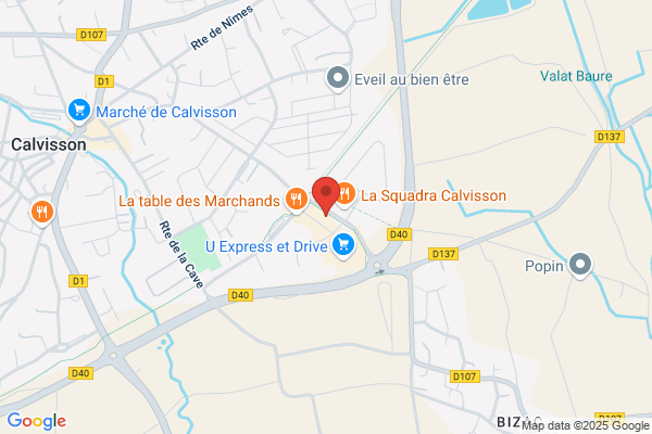 Les règles de l'art
