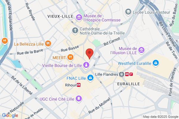 Avf Lille Metropole Nord